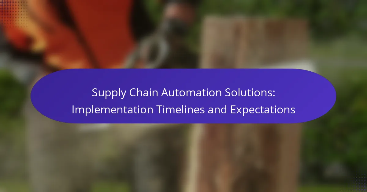 Supply Chain Automation Solutions: Implementation Timelines and Expectations
